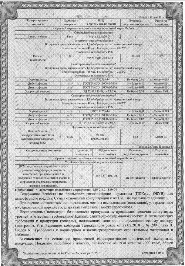 Экспертное заключение клеевая плитка Fargo стр.3